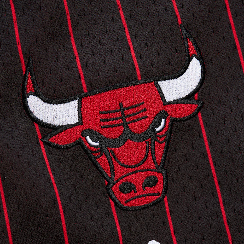 Chicago Bulls 1996 Retro (Shorts)