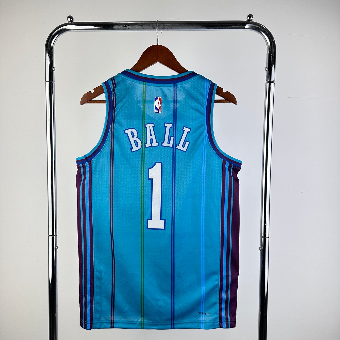 Charlotte Hornets 24