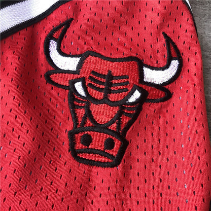 Chicago Bulls 2008 Retro (Shorts)