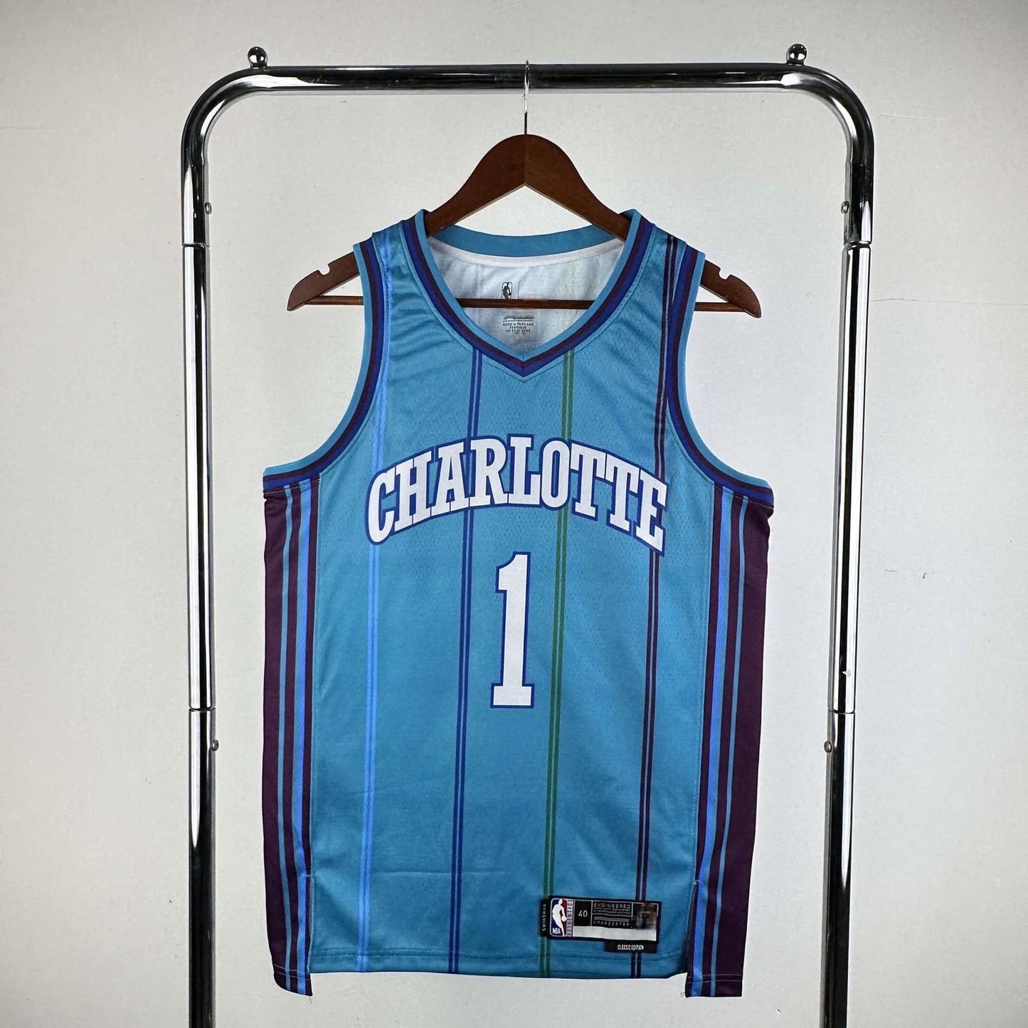 Charlotte Hornets 24